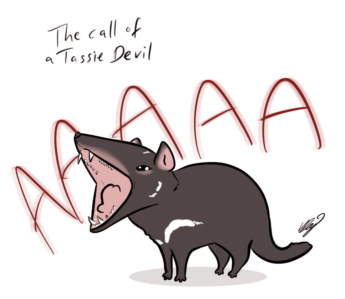 Did Crozier and Ross ever encounter a Tasmanian Devil I wonder