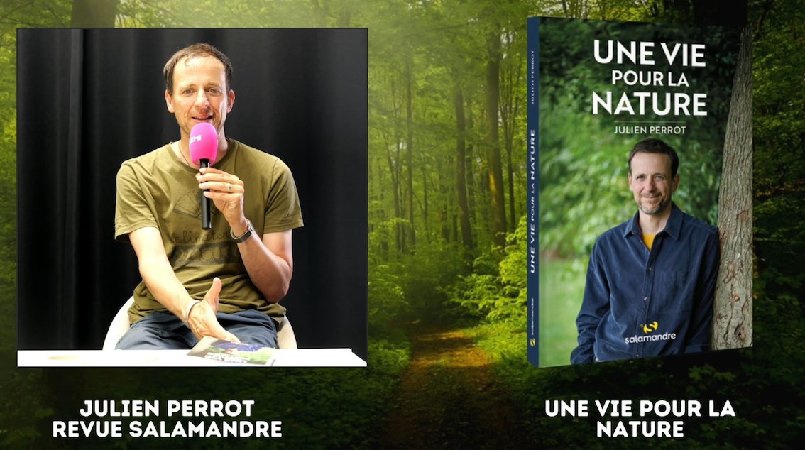 Ce matin la rédaction de Péron TV et les éco-délégués du collège ont eu l'opportunité de rencontrer Julien Perrot, le fondateur de la Revue Salamandre.

mediascol.ac-clermont.fr/college-franco…