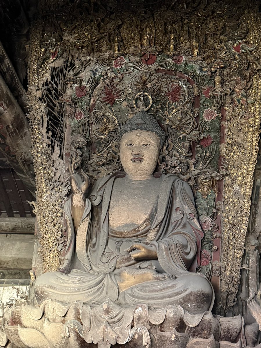 小桃儿看世界 tweet media