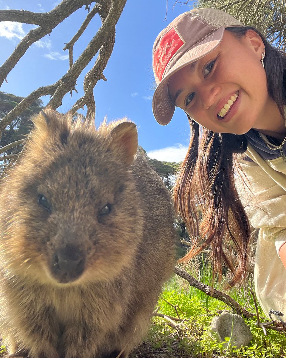 CommBank Matildas (@thematildas) on Twitter photo Wholesome content from Rottnest Island š¾
#Matildas #WAtheDreamState <a href="/WestAustralia/">Western Australia</a> Wholesome content from Rottnest Island š¾
#Matildas #WAtheDreamState <a href="/WestAustralia/">Western Australia</a>