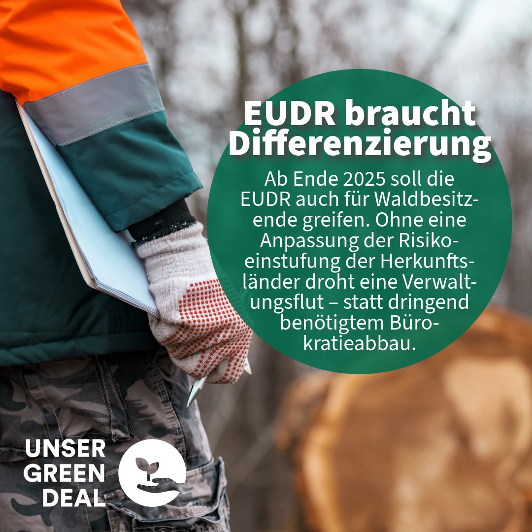 🌳📑 Am 30.12.2025 soll die #EUDR auch für #Waldbesitzende gelten. Trotz wachsender Waldflächen in der EU droht eine Bürokratieflut. EU-Agrarrat &amp; #ENVI-Ausschuss fordern deshalb zu Recht: Null-Risiko-Kategorie jetzt umsetzen! #UnserGreenDeal