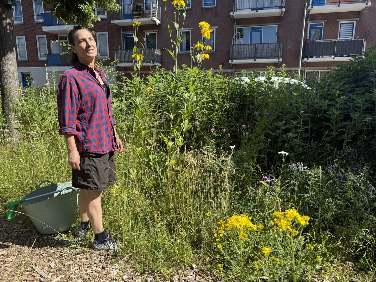 rinibiemans's tweet photo. Een prachtige dag in #park1943 nu valt er weinig te tuinieren in de zomer en met droogte kun je het beter met rust laten. Het is nu vooral het zwerfvuil en de vuilnisbakken. Het park wordt intensief gebruikt. Het enige park in een stenige wijk. #botu #rotterdam #biocrow https://t.co/xDzKzCf7Ai