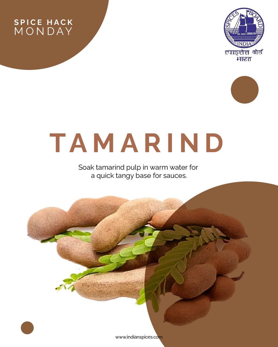Spices_Board's tweet photo. Pressed for time? Just soak a small lump of tamarind in warm water and strain for an instant tangy extract. Perfect for whipping up spicy gravies or zesty stir-fries on busy days.
#SpiceHackMonday #TamarindTrick #QuickSauceFix #TangyKick #SpiceEssentials https://t.co/LEnfIVSQbR