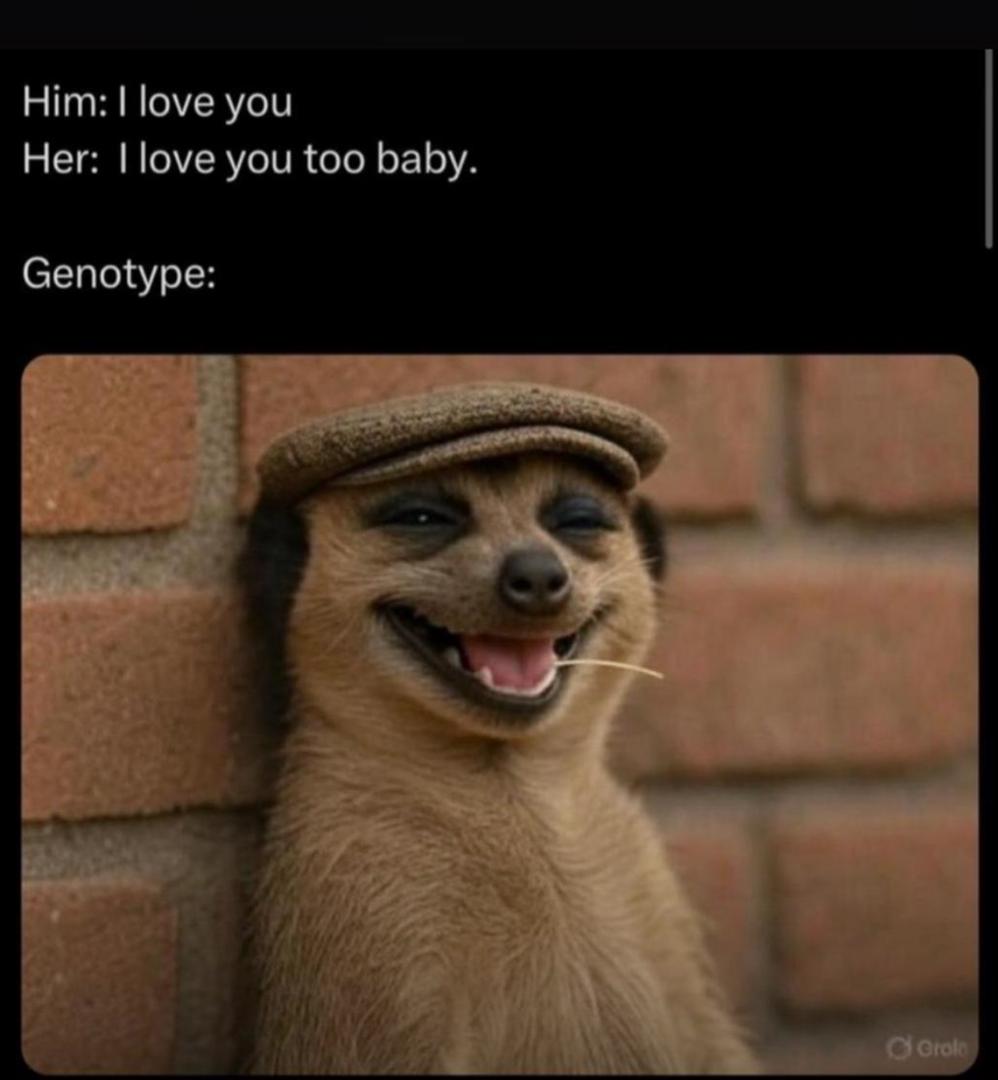 It's all couple goals until genotype pops up...
Before you plan forever, plan a genotype test first.
Avoid heartbreak. know your genotype! Visit myitura.com or send a DM to book a test today.💚