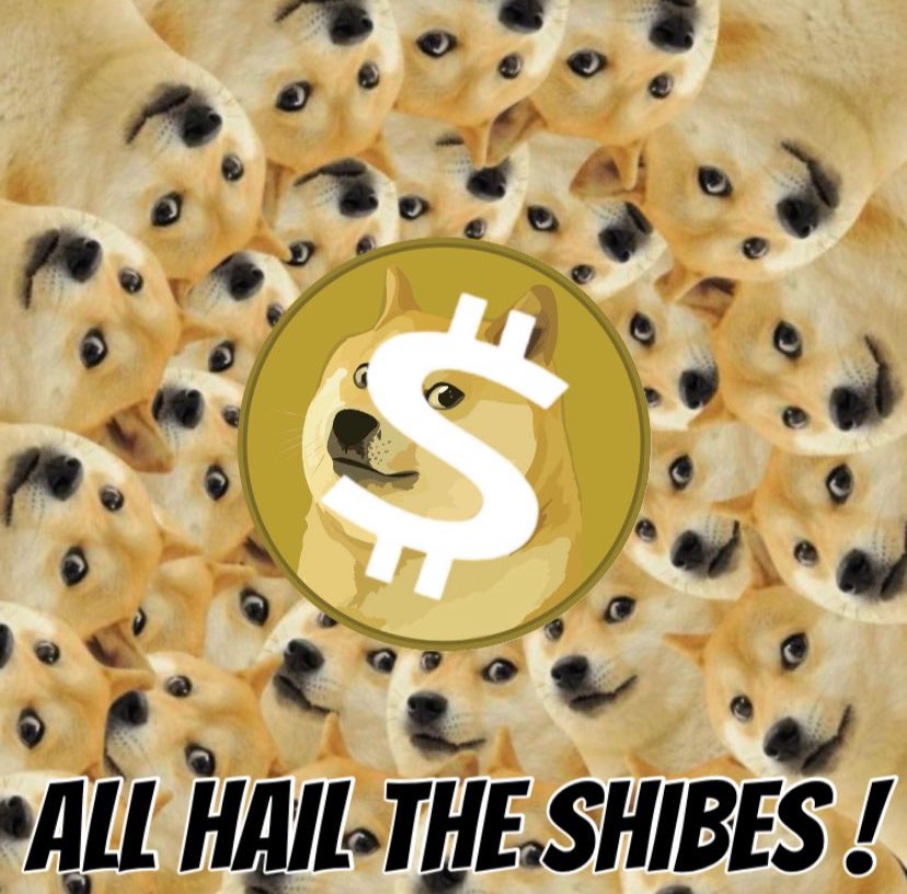 Shibes_SIBS tweet media