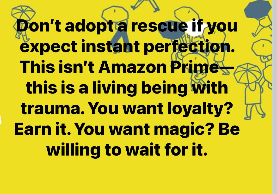 <a href="/LolaPatolla/">Lola Patolla</a> saw this and thought of you ❤️