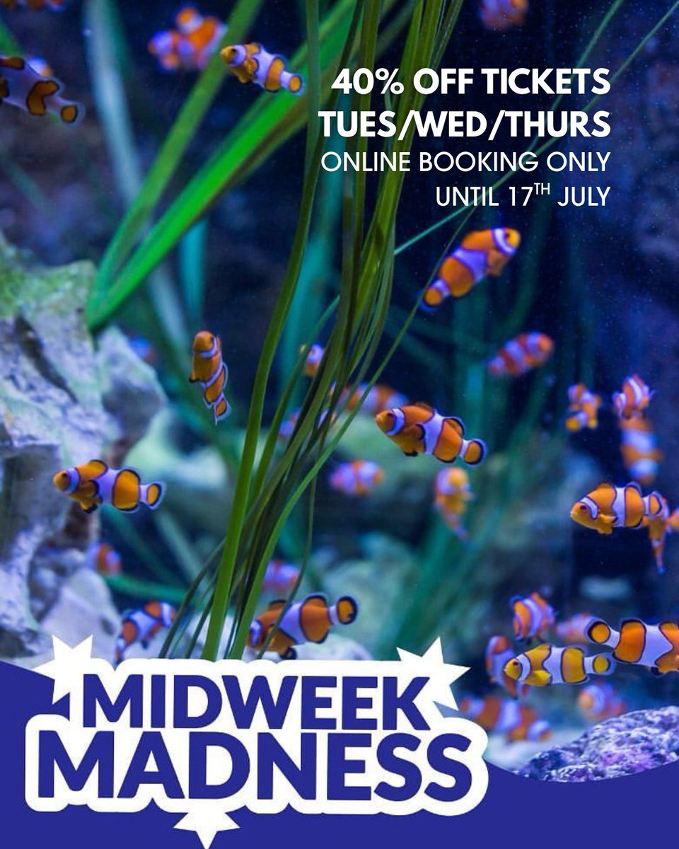 Loch Lomond Shores tweet media