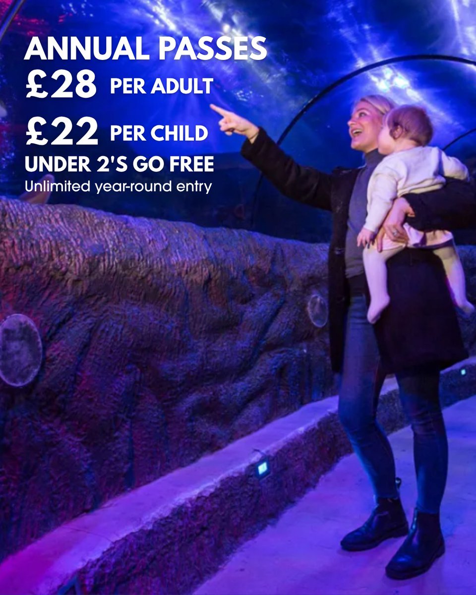 Loch Lomond Shores tweet media