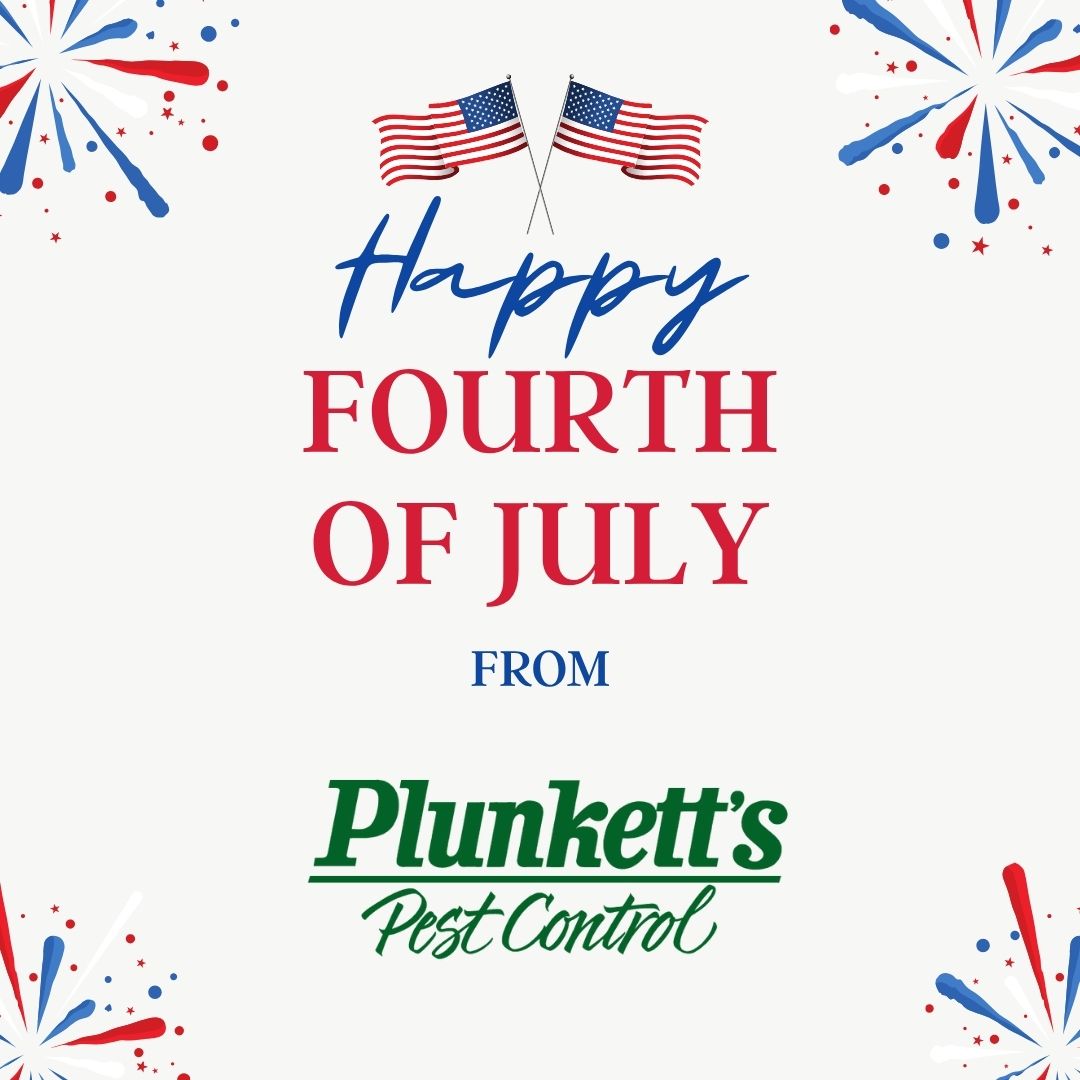 Here’s to good food, great company, and keeping the pests far from the party! 🎆🍔

Happy Independence Day from all of us at Plunkett’s!
.
.
.
#FourthOfJuly #Plunketts #PestFreeParty