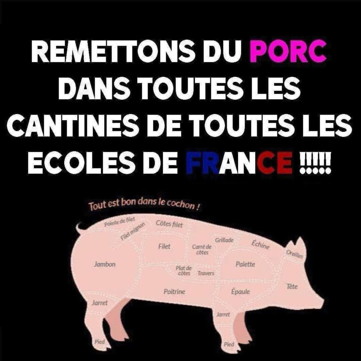 MissPeelEmma's tweet photo. On aurait déjà pas du le supprimer 🐖

Nous sommes en France 🇫🇷 point final !!!! https://t.co/HFp9BD96c3