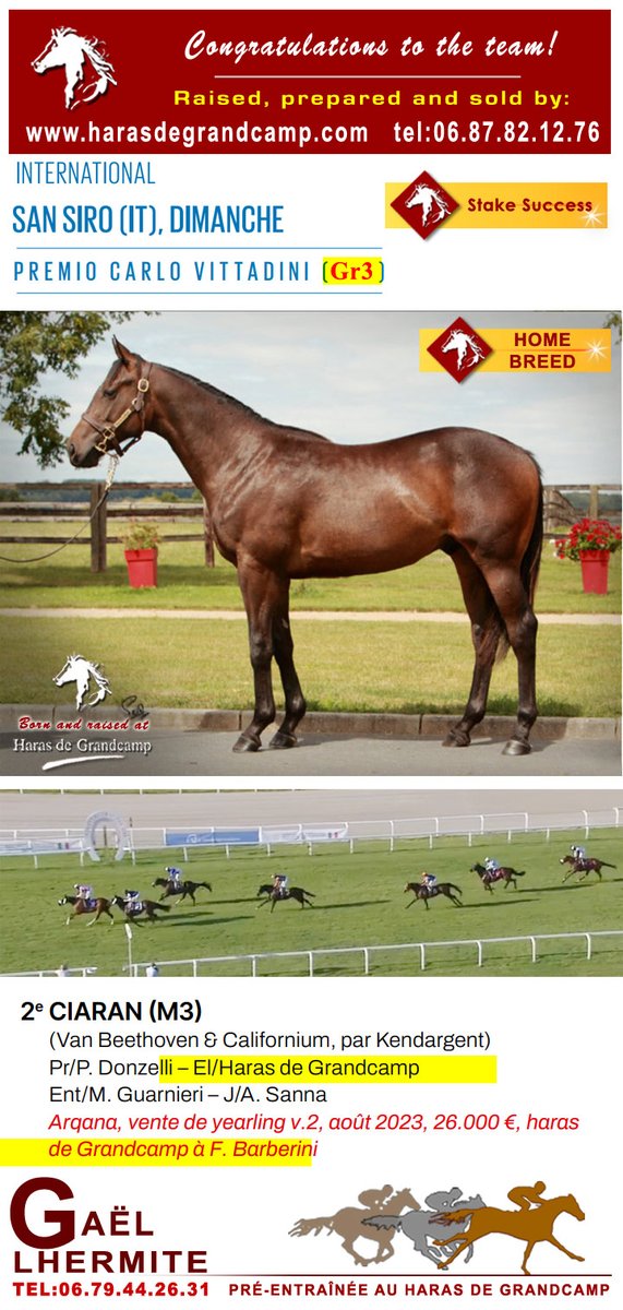 New stakes success for a home breed, sold by HDG ... 🙂
Congratulations #Ciaran, and team, 2nd Premio Carlo Vittadini - Gr3 / San Siro (IT) - 2025.06.22 
Ciaran, born, raised and sold by HDG🙂
harasdegrandcamp.com