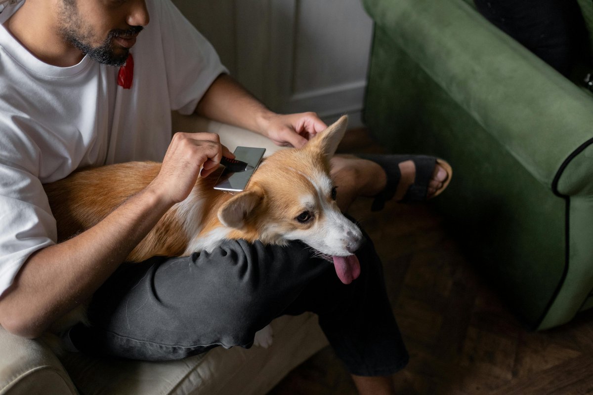 peturdogs's tweet photo. Dog Cooling Mat

https://t.co/mNiRYWZPt1
https://t.co/Xrf44mQkYK

#ShopNowforDogsHouseholdCareEssentials
#DogHomeCare #PetCleaningEssentials #DogFriendlyHome #DogGroomingAtHome #CleanHouseHappyDog #PetSafeProducts #HomeCareForDogs #DogLifeEssentials https://t.co/5pu4IyOK4z