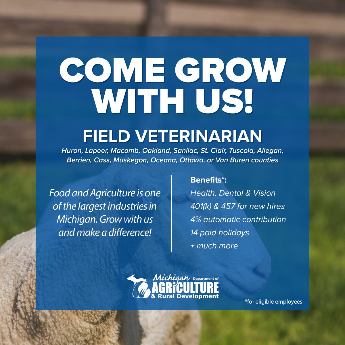 MichDeptofAg's tweet image. We’re recruiting for a Field Veterinarian in a permanent intermittent capacity. In this role, you’ll protect human and animal health, and promote and protect Michigan animal industries by handling inspections, investigations, and training. Learn more: bit.ly/4lwLWey