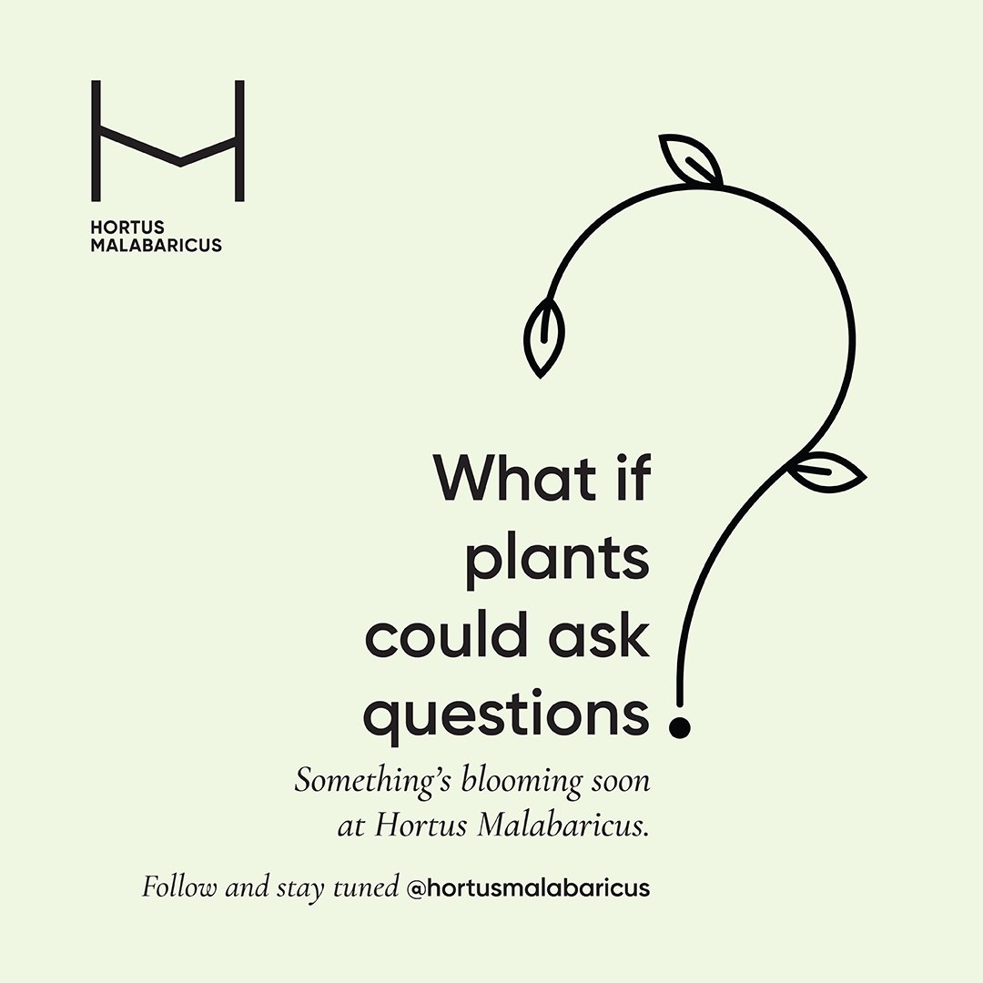 gardenofmalabar's tweet photo. Something curious is sprouting at Hortus Malabaricus - Stay tuned.
https://t.co/AY4rcftTeg

Stay in the loop — follow @gardenofmalabar on X for daily glimpses of what’s blooming.

#HortusMalabaricus #GardenofMalabar #Kerala https://t.co/b3fhnfTVDW