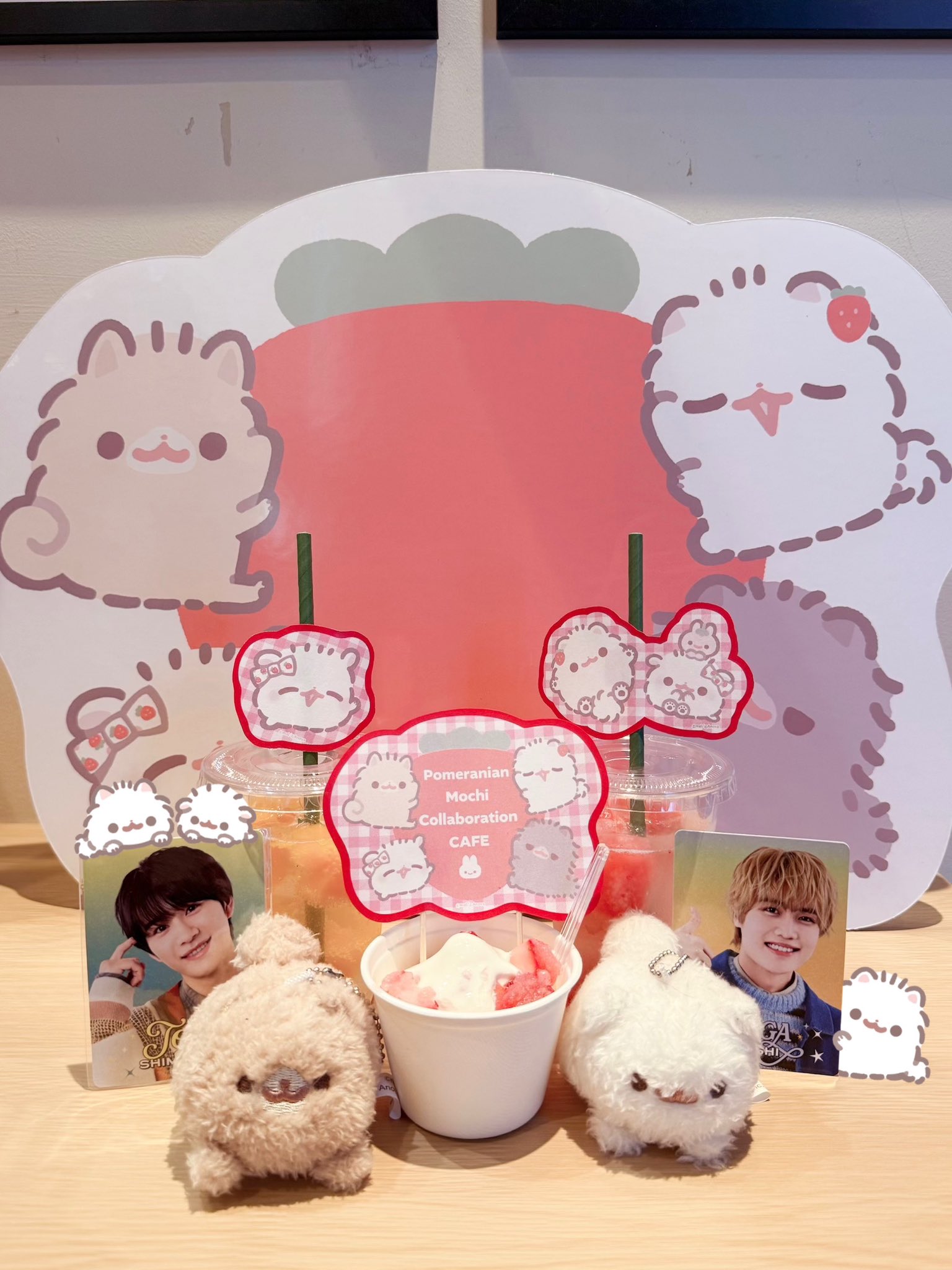 公式】ポメラニアンもち‎コラボテイクアウトカフェ♡観音山