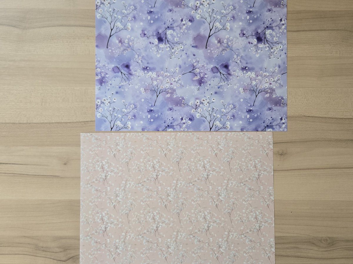 shachi❀ (@shachi26rr) / X