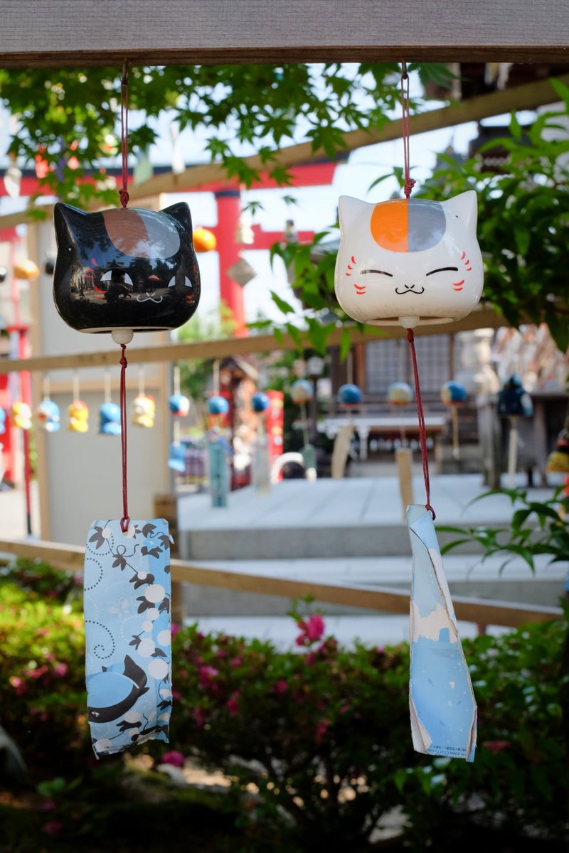 五泉八幡宮「夏詣」

FUJIFILM X-E2、Tokina SZ 33㎜F1.2、
七工匠7.5㎜F2.8ED FISH-EYE

#五泉八幡宮
#夏詣