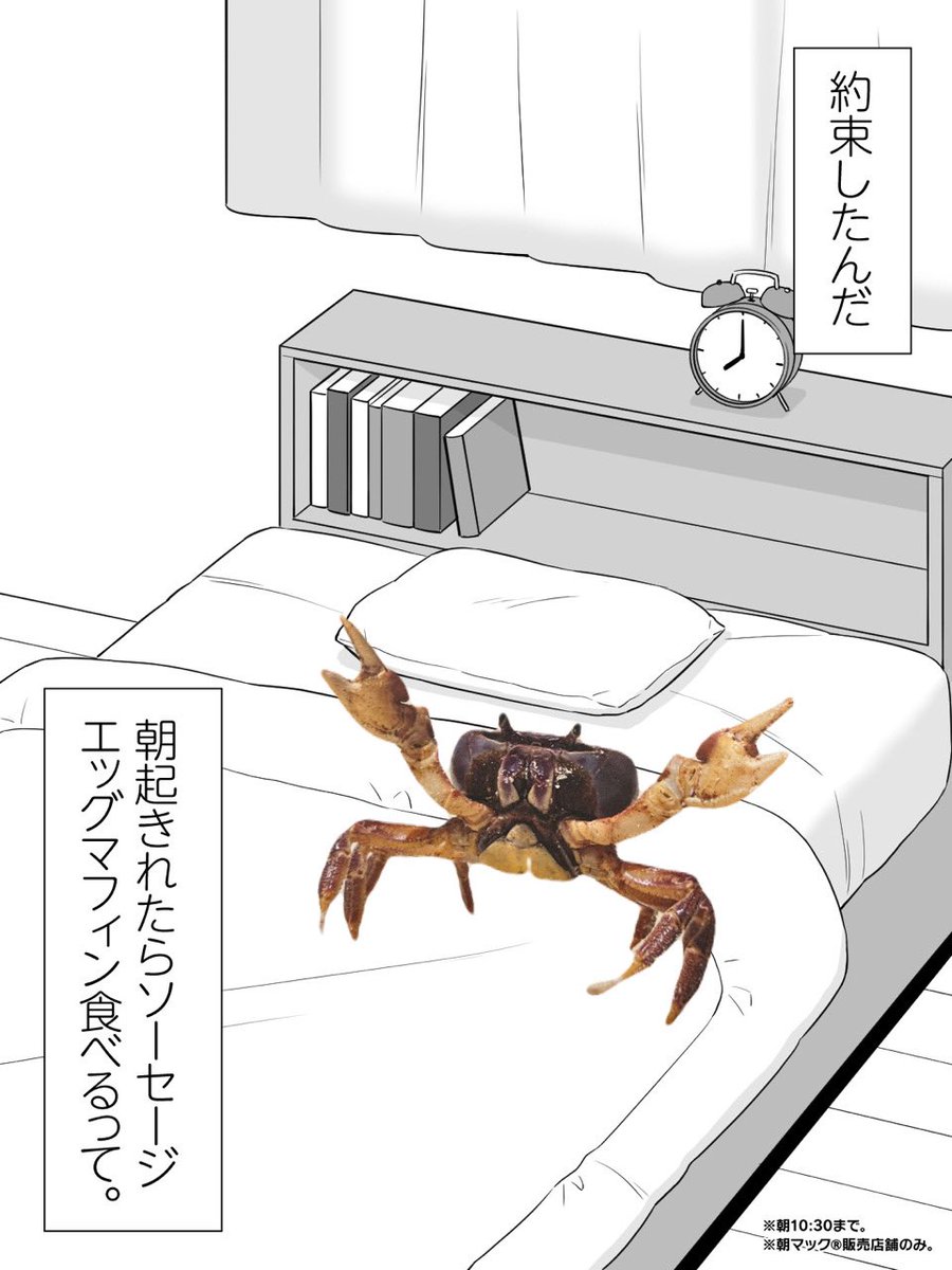 kani_spider's tweet photo. https://t.co/eLDVrla0h4