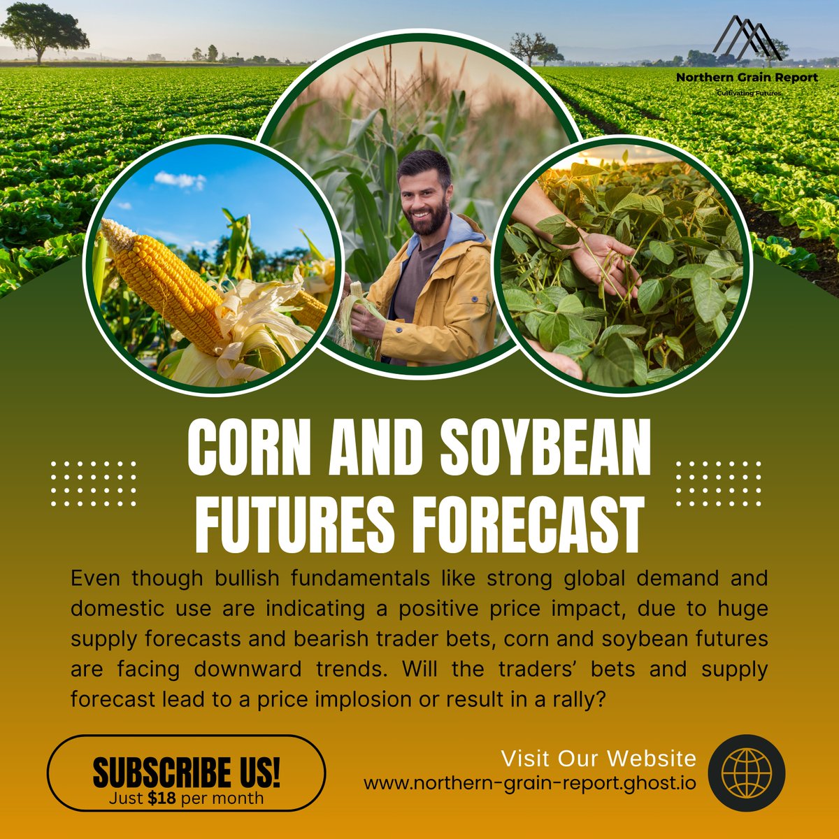 NorthernGrainsR's tweet photo. 🌽Corn and Soybean🌱 prices are increasingly becoming volatile and unpredictable and are currently under pressure due to a number of factors.🚜 To make informed decisions and optimize profits, it is essential for stakeholders to gain factual insights. Northern Grain Report keeps you ahead of the grain market with data-backed insights.💹
 
Subscribe to Northern Grain Report for detailed insights! (For $18/month)🌾

🌽Visit Us Now: https://t.co/ABuGnHoClP🚜

#GrainMarket #MarketUpdates #AgriInvesting  #GrainNews #USGrainMarket #CornMarket  #WheatMarket #Crop #FarmingFutures #NorthernGrainReport #Soybean