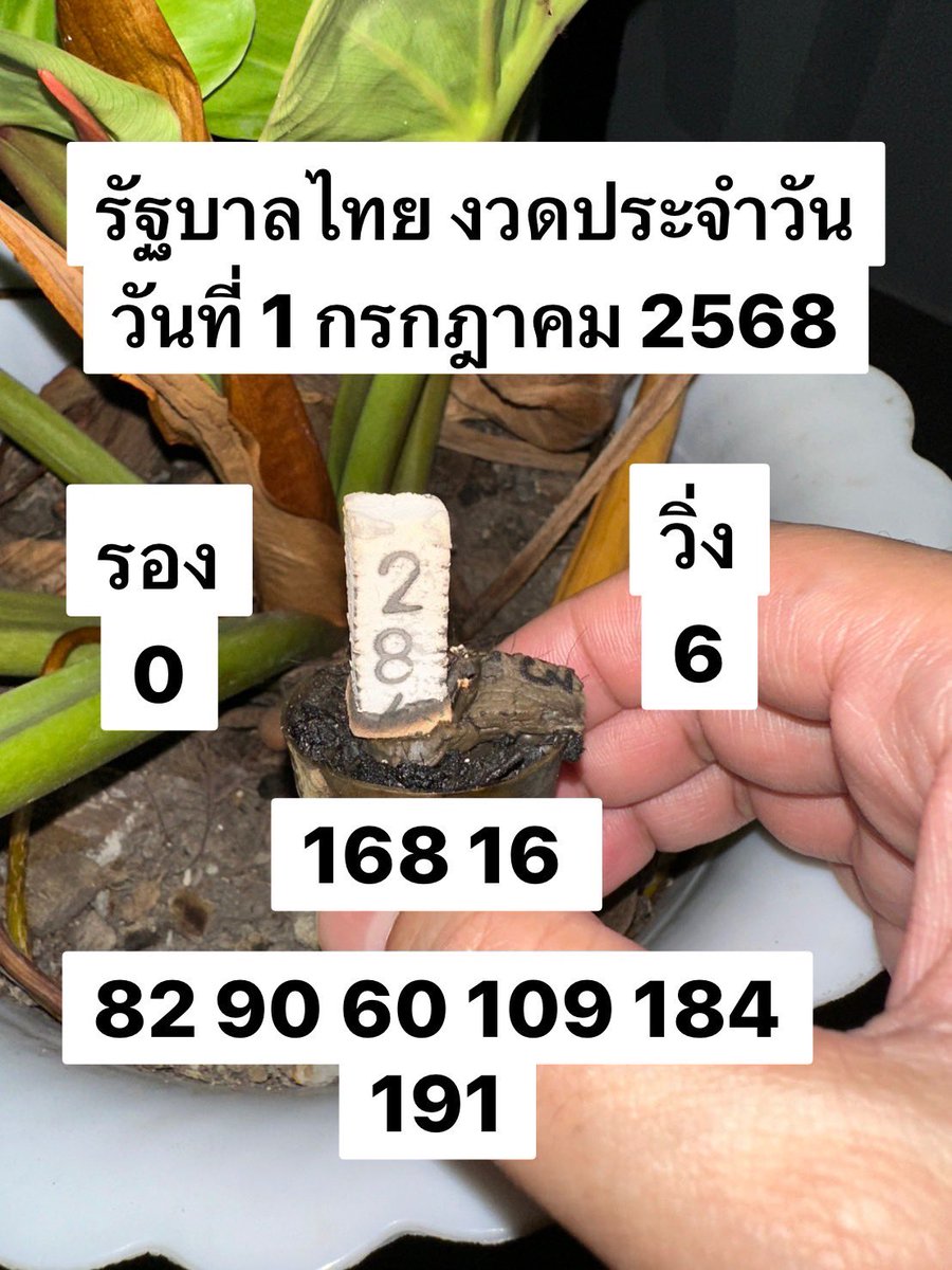 เจ้แต๋ว สายปัง tweet media