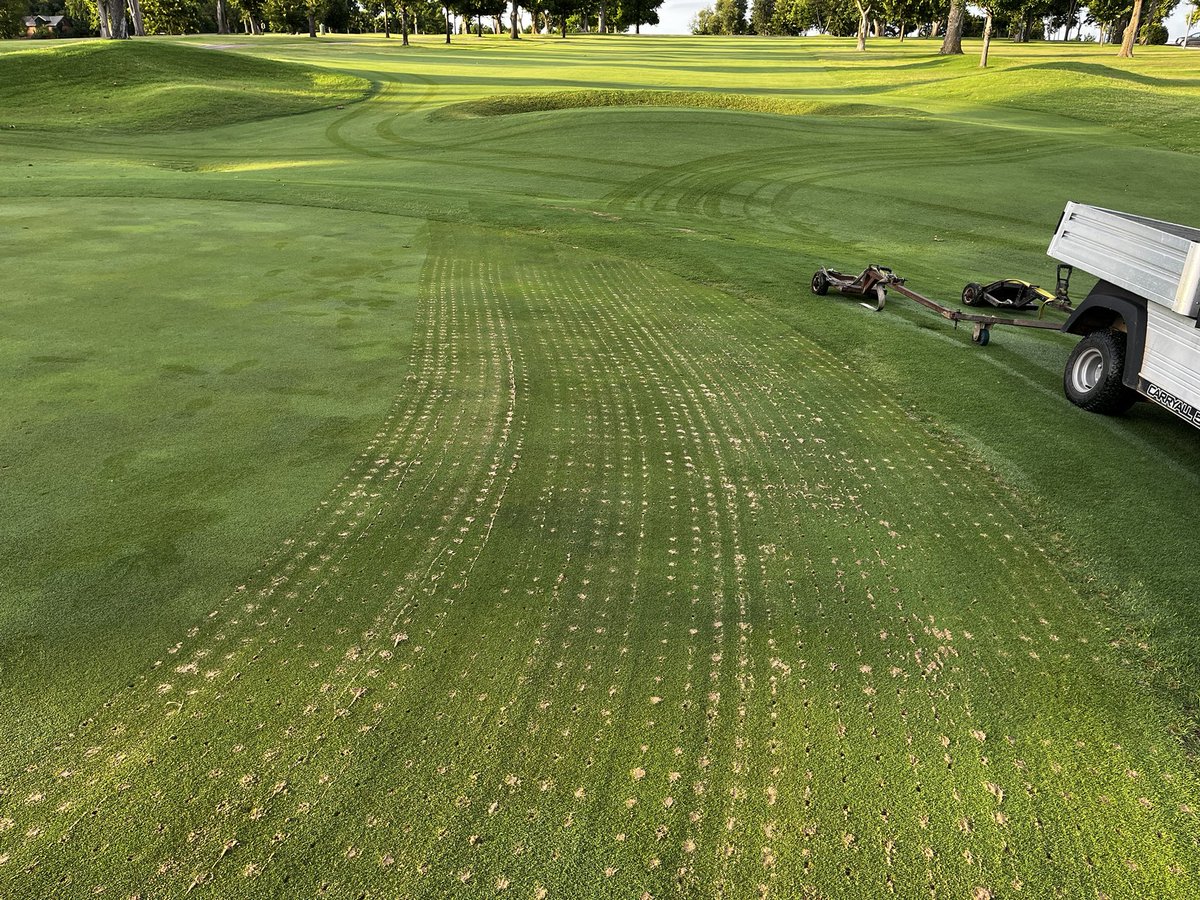 Daniel Mills tweet media