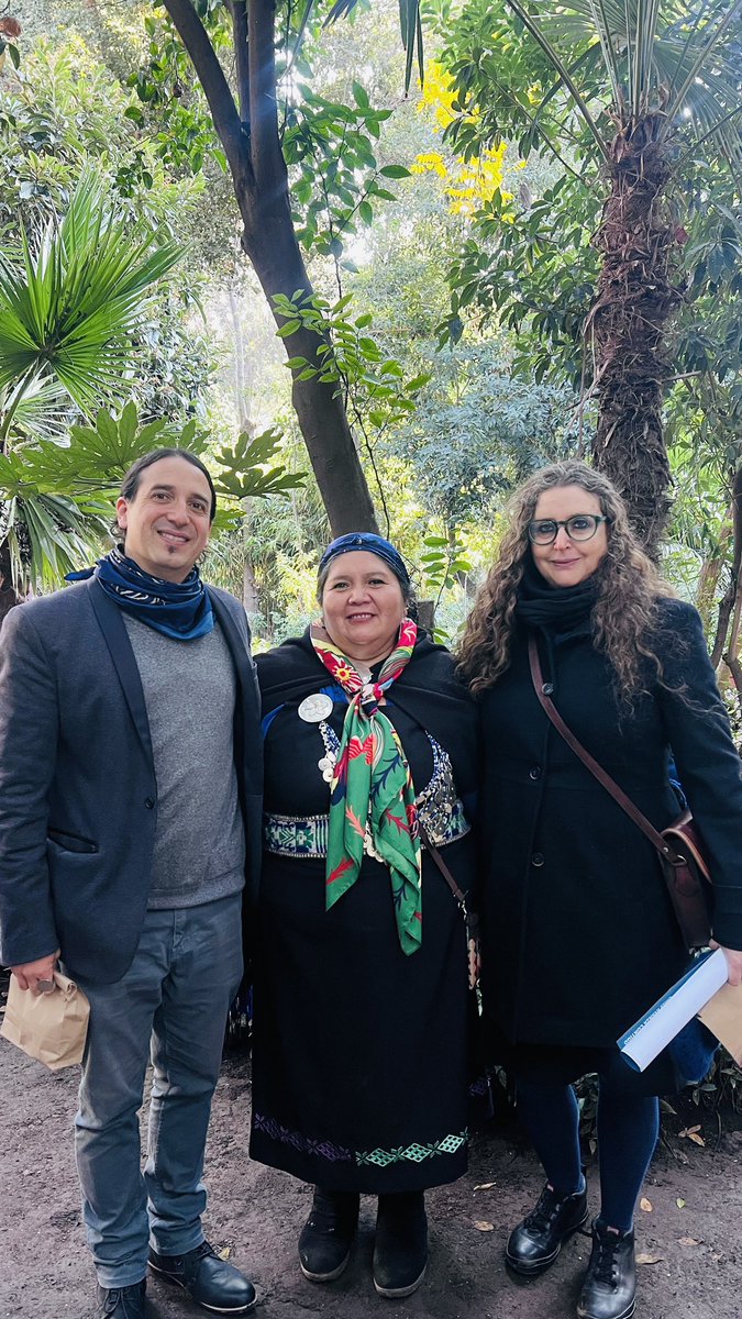 Budi Lafken Mapu,Operador Turistico tweet media