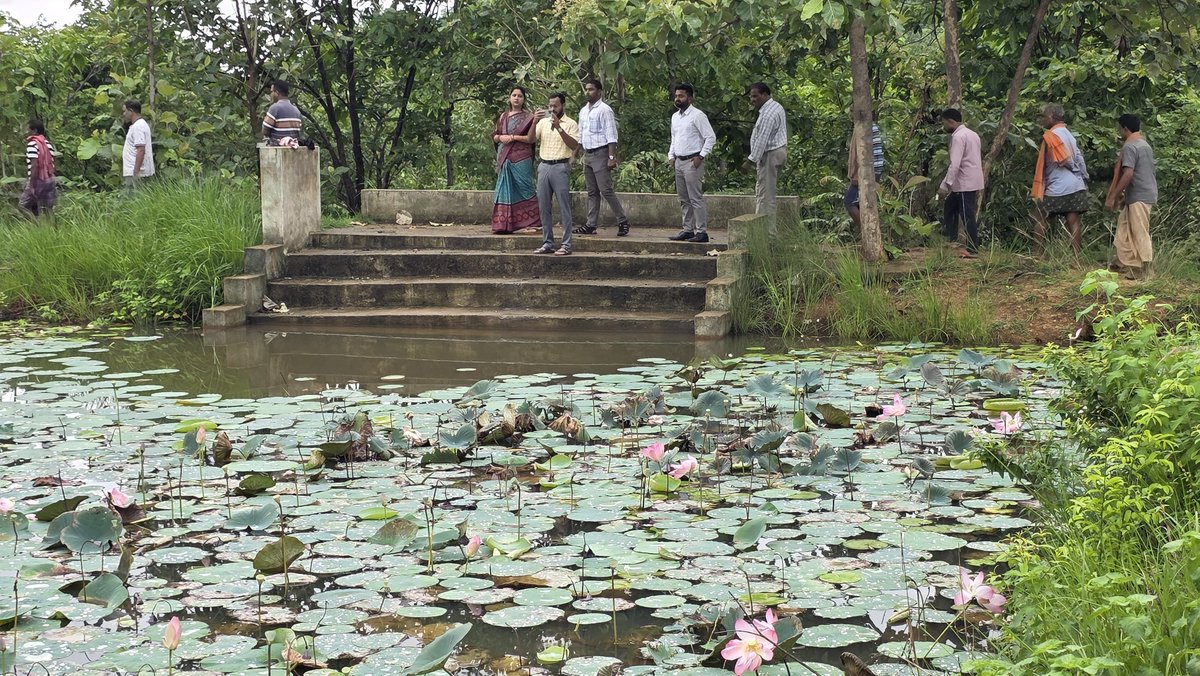 Collector & DM, Balangir tweet media