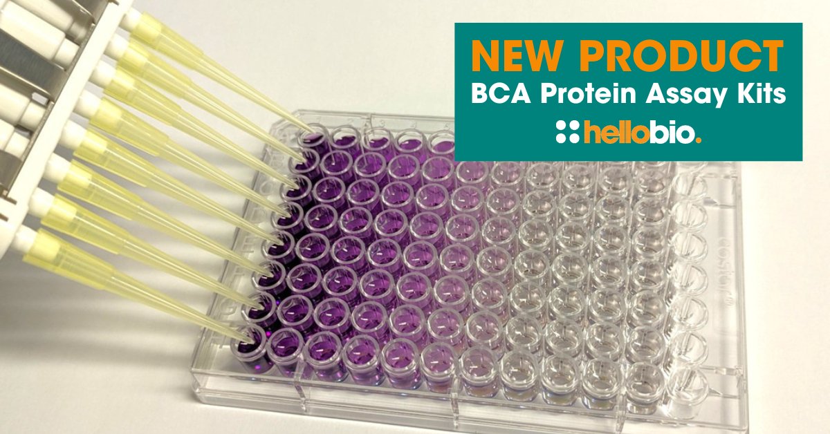 hello_bio's tweet image. Our new BCA Protein Assay Kits are designed to deliver accurate, sensitive protein quantification at a price that wonβt break your budget π¬
Quantify with confidence & keep your science (and budget) on track with our great new kits: ow.ly/h8BM50WhyWy
#assaykits #assaykit