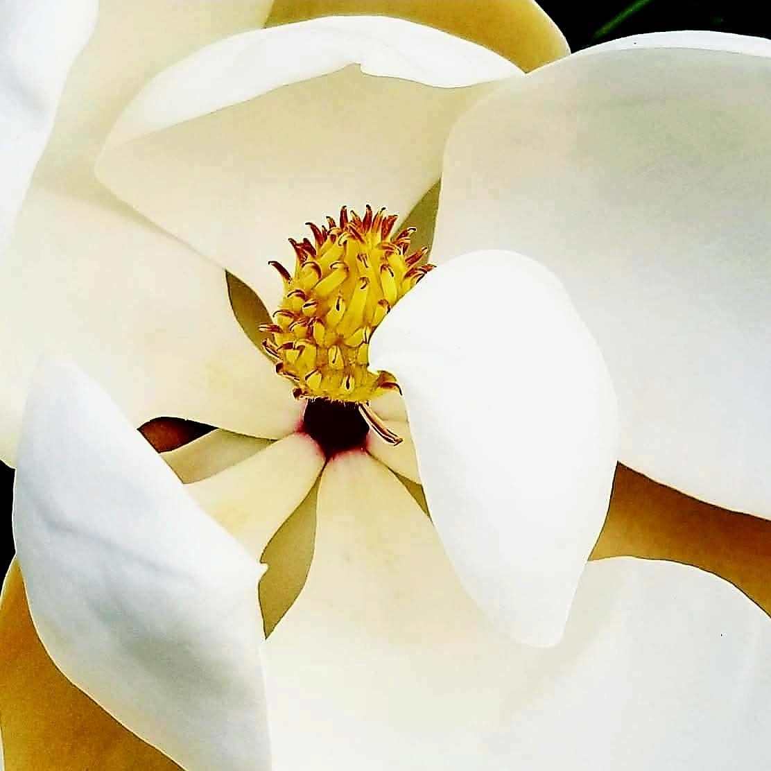 "You made all the delicate, inner parts of my body and knit me together in my mother’s womb. Thank you for making me so wonderfully complex! Your workmanship is marvelous—how well I know it." Psalm 139:13-14 #wonderfullymade #knitinside