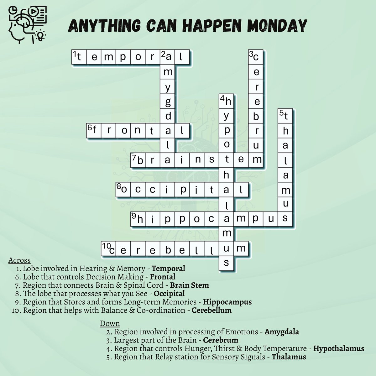 NeurosciforAll's tweet image. 🧠 It’s a crossword puzzle including all the brain areas we’ve explored so far. Test your memory, challenge your knowledge, and see how many you can get right.
Good luck, neuro-enthusiasts!
#neuroscienceforall