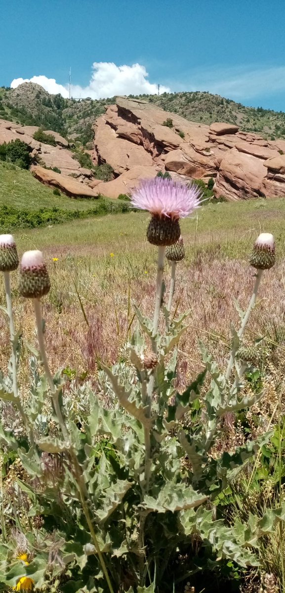 Last week the annual conference of the Institute on Theology and Disability took place in Denver. A good number of past, present, and future Aberdeen students and researchers were present, many of whom are involved with the Centre for Autism and Theology!