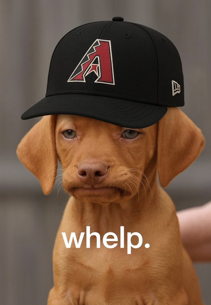 Dos_317's tweet photo. @Dbacks @CaesarsSports https://t.co/xn84d6T2ju