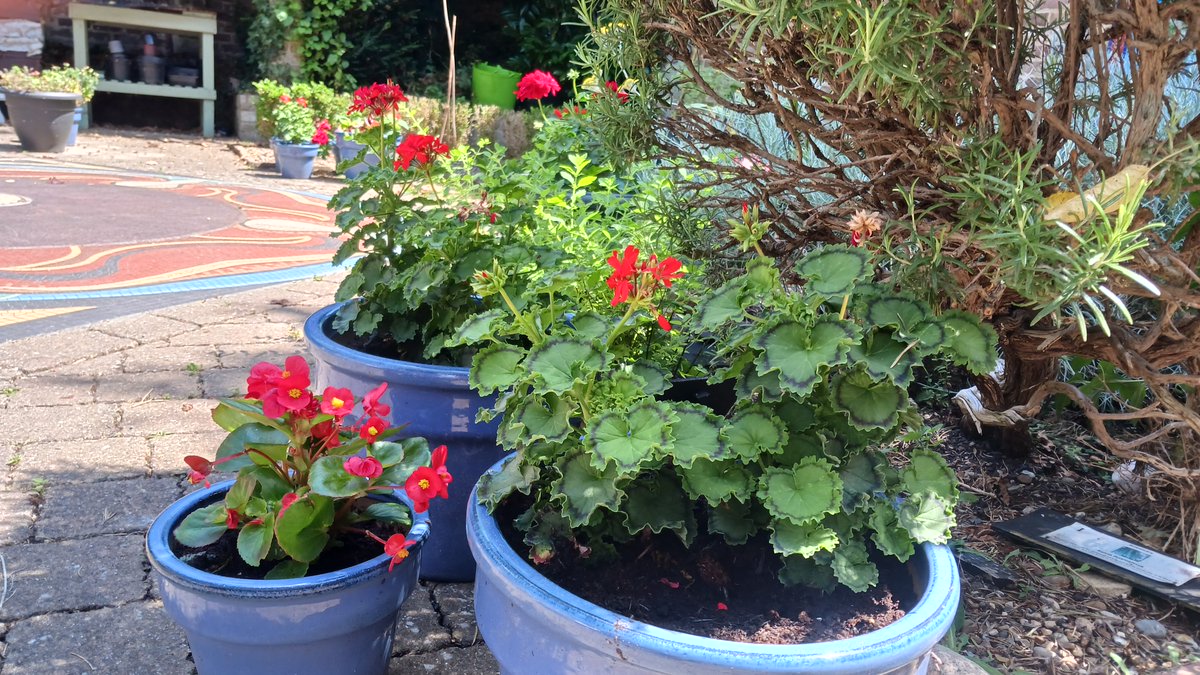 EFD Museum tweet media