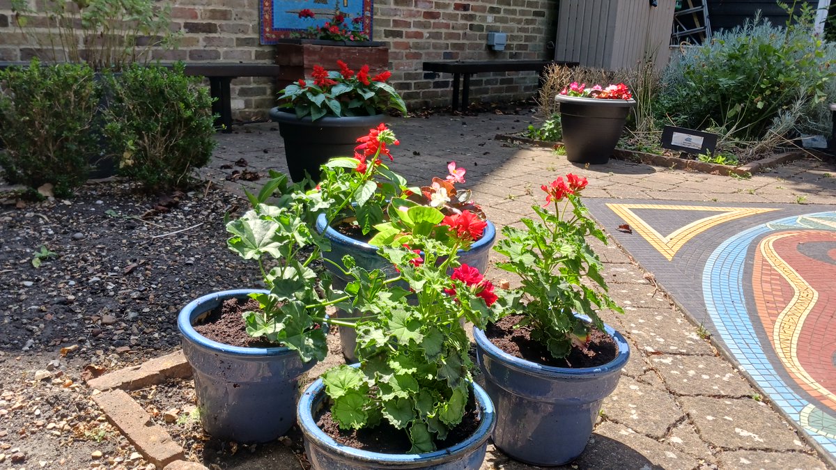 EFD Museum tweet media