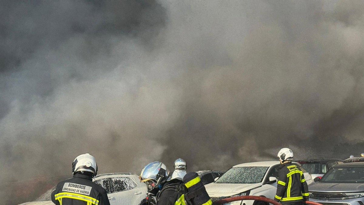 periodicoSIERRA's tweet photo. 🔴 #IncendioVillaDelPrado Actualizado14.50h.
Unas 200 hectáreas de superficie forestal, sobre todo pasto y matorral, han ardido en Villa del Prado en el primer gran incendio de la temporada.  
Incendio controlado a las 14.50h. #VillaDePrado https://t.co/TS3HwWe3VI