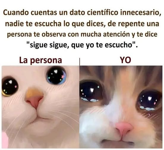 EnsedeCiencia's tweet image. 🥹