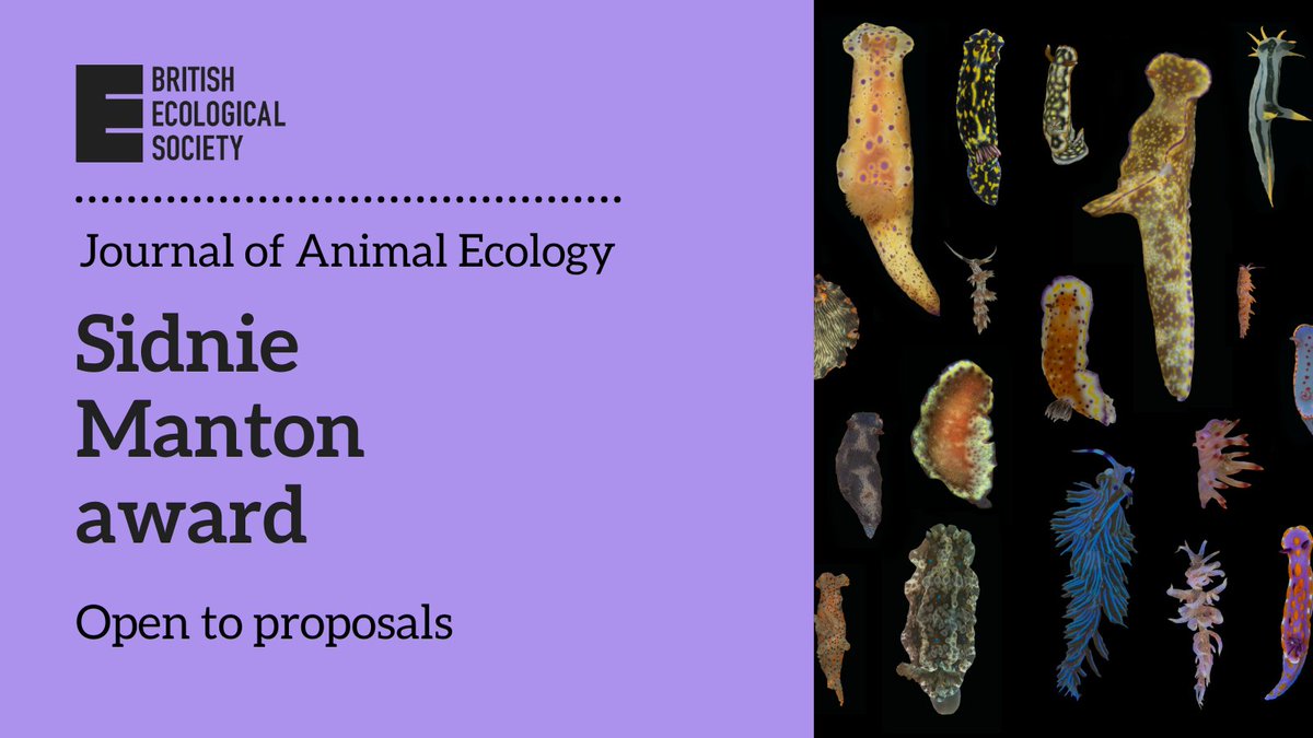 The Journal of Animal Ecology's 5th Sidnie Manton award is now open to proposals!🚨  
Read more about the award here: buff.ly/BV6OT1P
...and submit your proposal here: buff.ly/YsnYe29  
The deadline for proposals will be 1 September 2025.