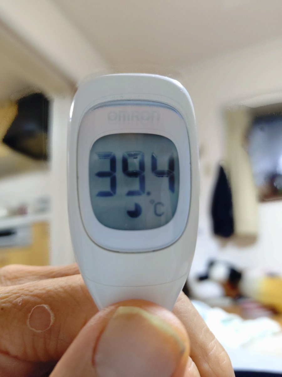 ここ1ヶ月近く、体温を計った時は常に38~40度の値が出ます。

比較的、調子よいと感じた時でも38度前後……

ちょっと、そろそろ気力も体力も限界に近いです。
