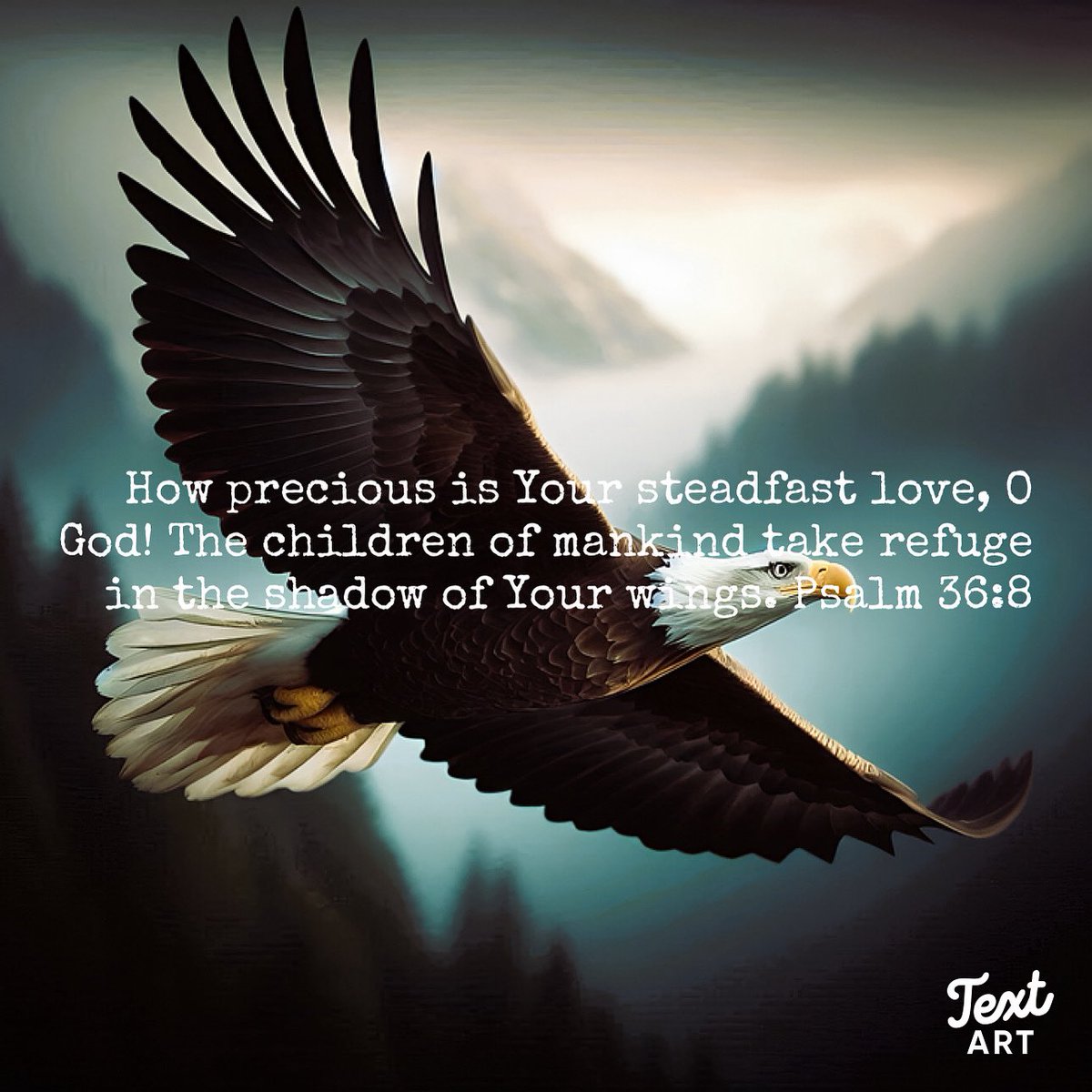 Linda Hoenstine (@lindah71170) on Twitter photo 