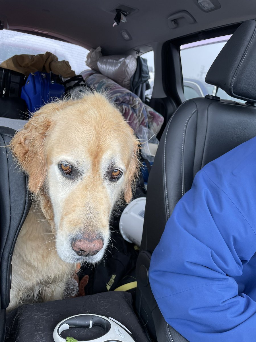 Now that’s a boat!! I put my nose to the ground and followed through with my inspection. Not so sure of some of the smells and the rain. But mom dried me off and there’s a promise of a dry bed soon. Life of Chum.