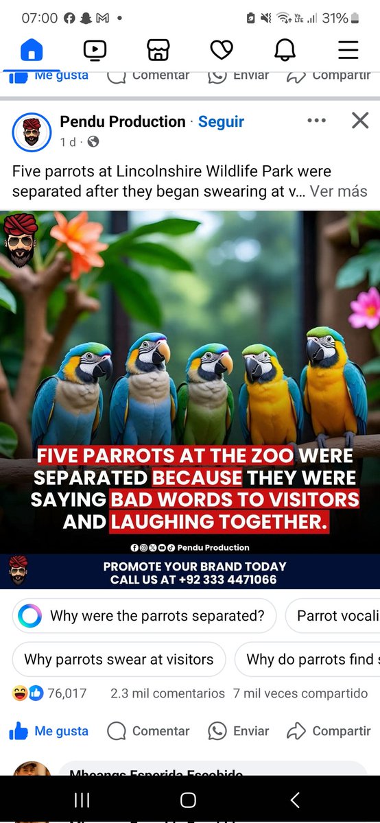 PerikitaJackson's tweet photo. De mejores lugares nos han corrido #Parrots #swearing https://t.co/ONyxuvOz8p