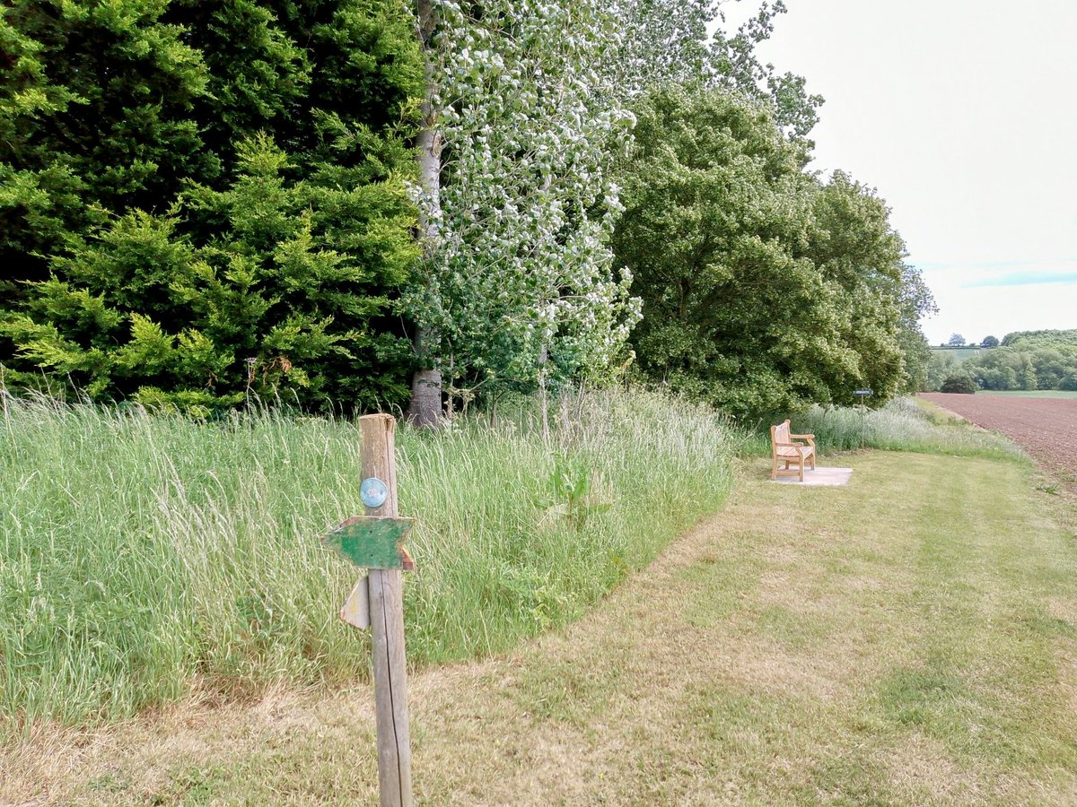 phil0073's tweet photo. By the woods covering #FaxtonLostVillage , With an old waymark & a new seat , kindly provided for travellers to rest & view #FaxtonFields . #PhilOnaBike #MondayMeander #FridayFields #fingerpostfriday #SignpostSunday #WaymarkWednesday https://t.co/KpVsutQ7jM