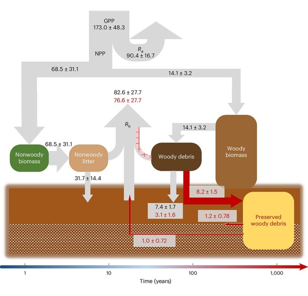 ciencia_a_tierra tweet media