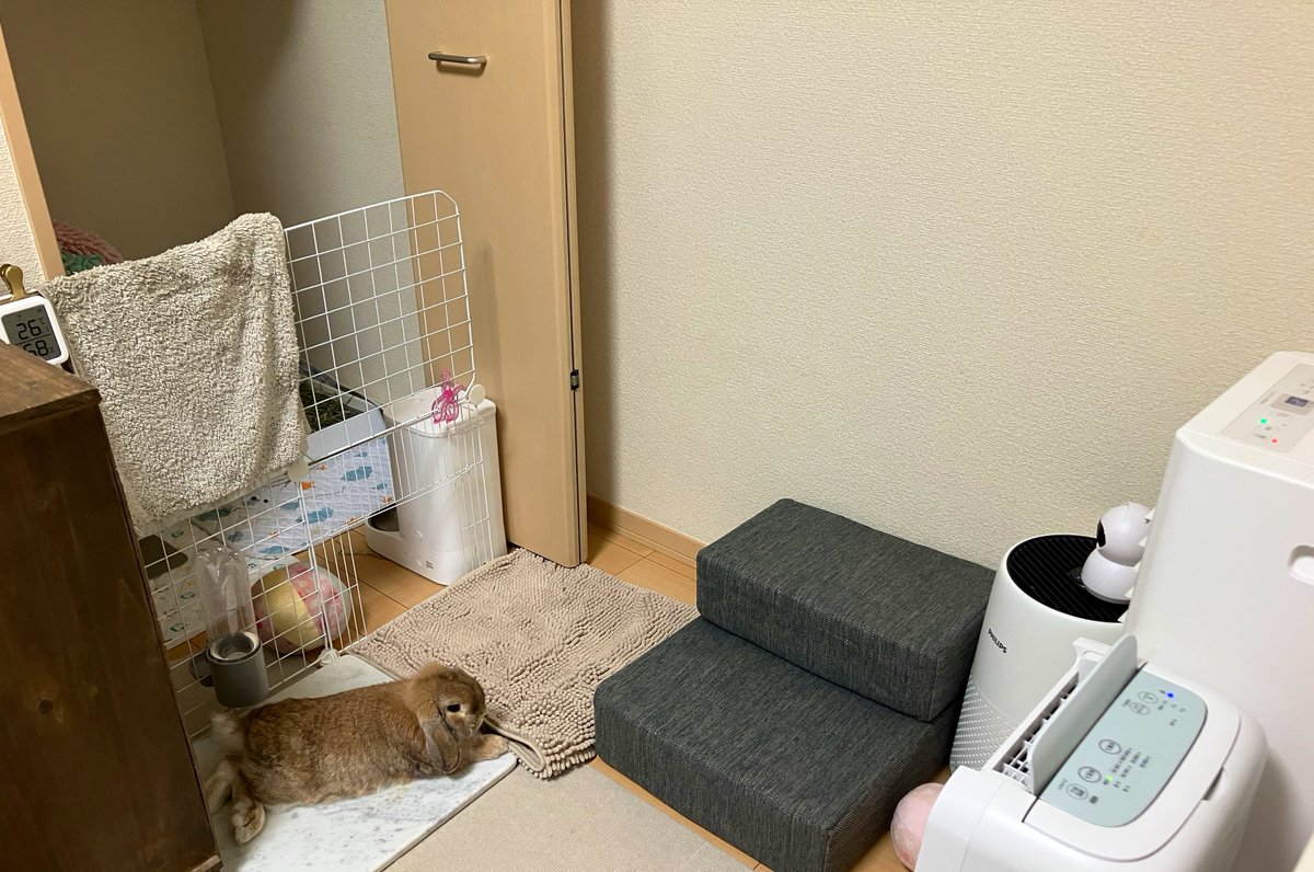 こちらうさぎ用クローゼット
最高のレイアウトを見つけてしまったかもしれん