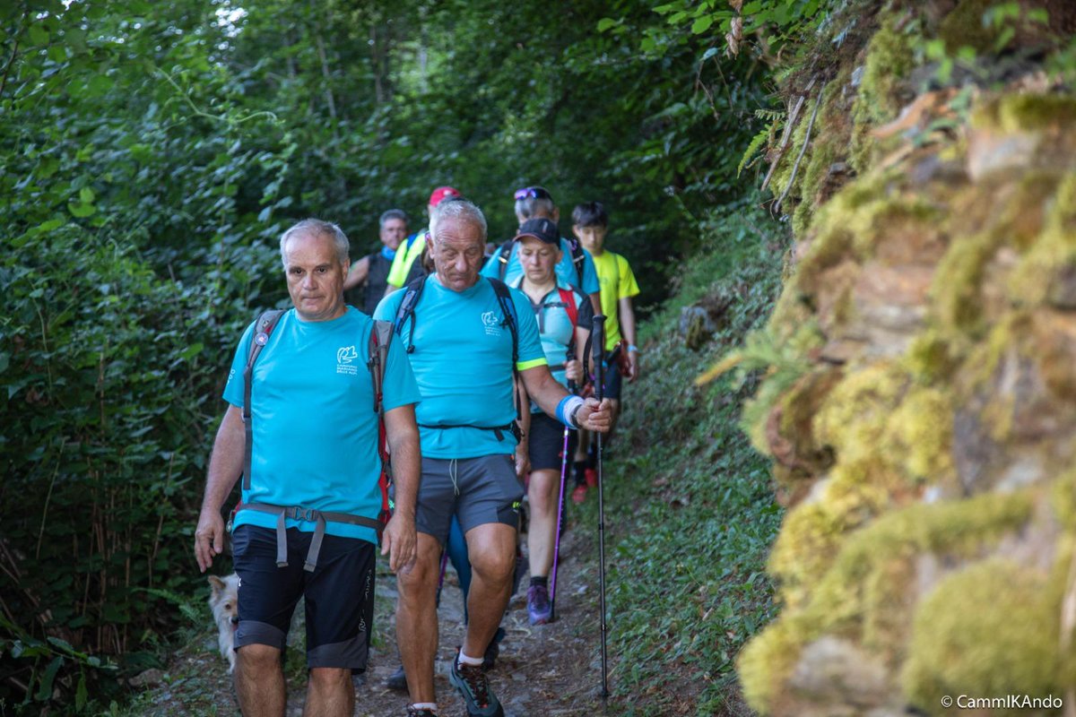 Valtellina tweet media