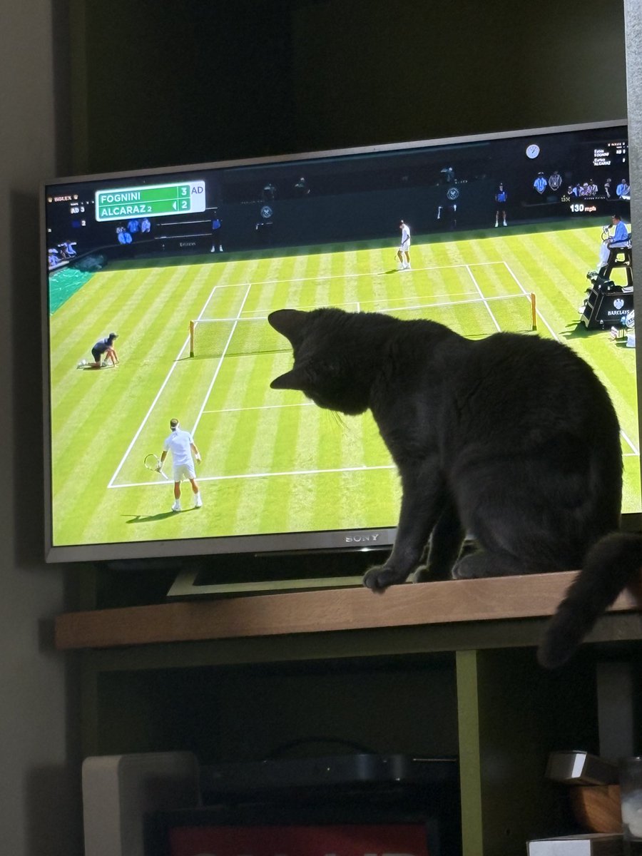 HelenORahilly's tweet image. Gracie loving her first Wimbledon. I think she thinks she’s the new line judge…
