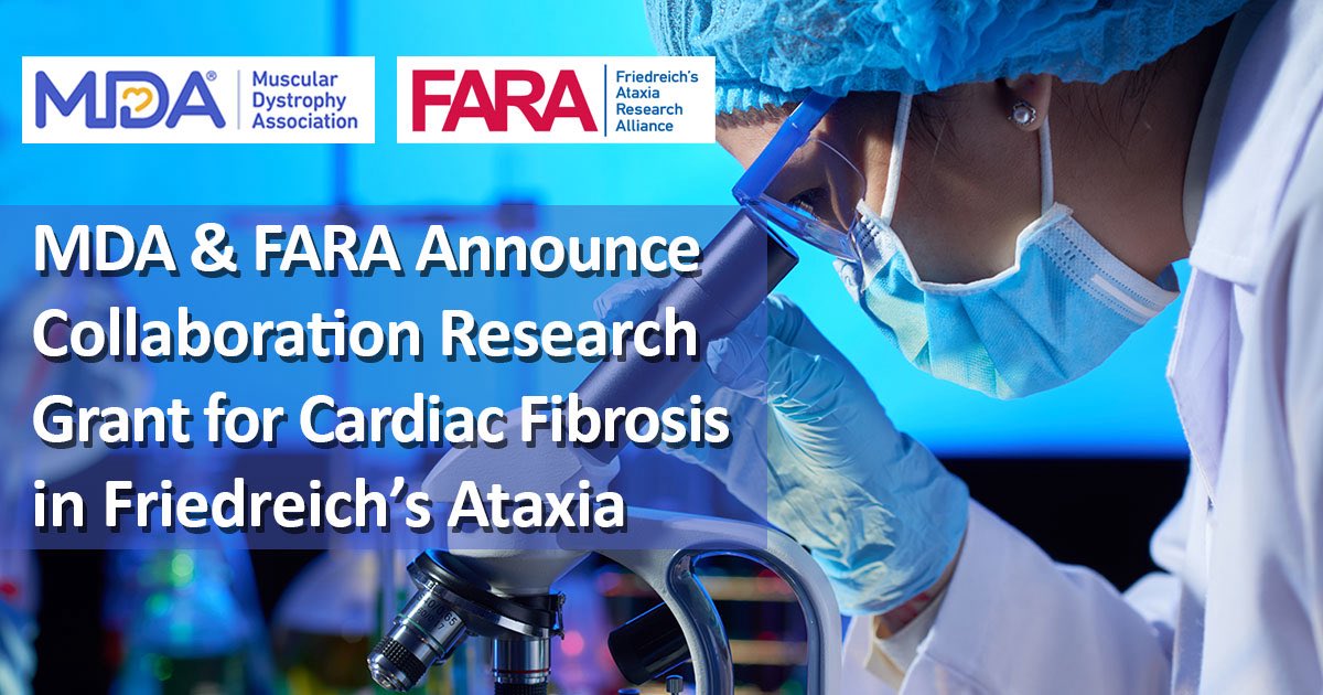 MDAorg's tweet image. 🚨 NEW: MDA + @CureFA_org are co-funding a $300K research grant to study cardiac fibrosis in Friedreich’s ataxia (FA), a key cause of heart failure in FA. This study could lead to life-changing therapies.
🔗 bit.ly/46nuqoB
#FriedreichsAtaxia #CardiacResearch