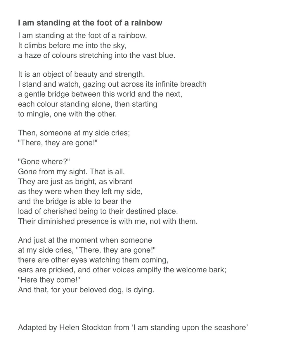 Lord Teddy, who loves his beddie! (@stockton_teddy) on Twitter photo We saw a poem called ‘I am standing upon a seashore’ by Henry Van Dyke and we’ve adapted it for furs. We hope it offers some consolation at this difficult time <a href="/ScrappyN/">Lord Scrappy Nelson</a>. We’ve followed you for so long and feel so sad for you. We saw a poem called ‘I am standing upon a seashore’ by Henry Van Dyke and we’ve adapted it for furs. We hope it offers some consolation at this difficult time <a href="/ScrappyN/">Lord Scrappy Nelson</a>. We’ve followed you for so long and feel so sad for you.