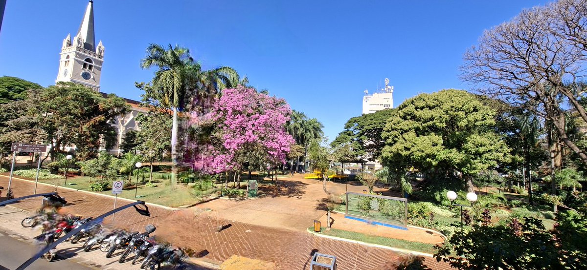 Observe93524268's tweet photo. Manhã de inverno hoje na Praça 21 de Abrirl, em Sertãozinho-SP #olhaissoEPTV https://t.co/Kw5f23uVCk
