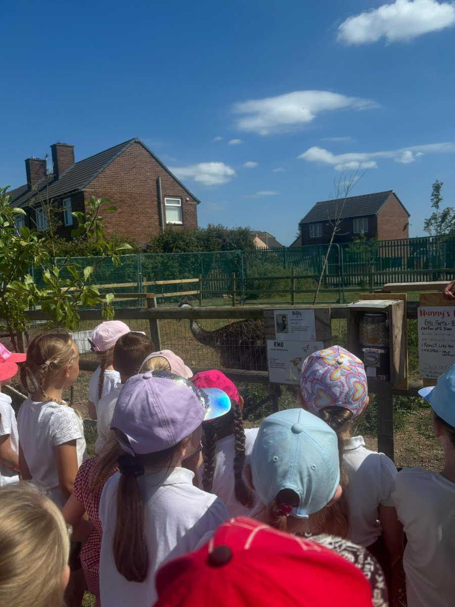 GCPYEAR2's tweet photo. We had a great time today at @nunnysfarmcic meeting the animals and revisiting our learning from our #gcpscience and #gcpgeography lessons! @PrimaryGreat #Community #DelightandJoy https://t.co/T0p5SYLauF